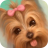 icon Lovely dog 2.2