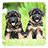 icon German Shepherds LWP 2.5