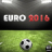 icon EURO 2016 1.1