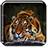 icon Tiger Live Wallpaper 1.10