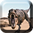 icon Dinosaurs Live Wallpaper 1.12