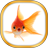 icon Gold Fish Live Wallpaper 20.0