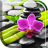 icon Orchid Live Wallpaper 1.2