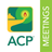 icon ACP Meeting 1.55.1 (1.99.0-2499629)