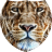 icon Glittering lion 3.0