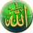 icon Allah Names Wallpaper 1.5