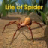 icon Life Of Spider 1.1