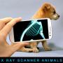 icon Xray Scanner Animals Prank