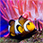 icon Ocean Fish Live Wallpaper 2.7