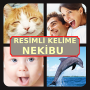 icon Resimli Kelime Nekibu