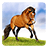 icon Horses Live Wallpaper 7.6