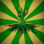 icon org.dtalpen.memorygame