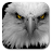 icon Eagle 1.4.0