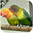 icon Lovebird Live Wallpaper 2.0