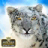 icon Snow Wild Leopard Attack Sim 1.0.1