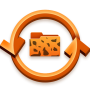 icon Cheetah Sync