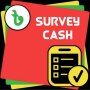 icon Survey Cash