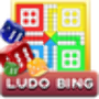 icon Ludo Bing