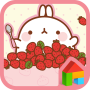 icon Molang dodol theme