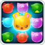 icon Pets Jam - Splash cho Bluboo S1