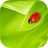 icon Miss Ladybug 5.0.3