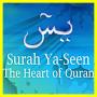 icon Surah yasin
