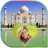 icon TajMahal Frames 1.8