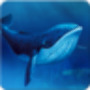 icon Blue Shark Daring