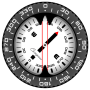 icon Compass PRO cho intex Aqua Strong 5.2