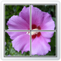 icon PhotoNumber Puzzle