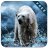 icon Arctic Bear 1.0