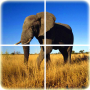 icon Animal Puzzle