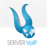 icon ServerVoIP 1.3