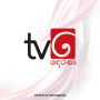 icon TV Derana