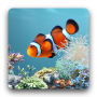 icon aniPet Aquarium LiveWallpaper cho oppo A3