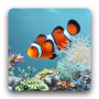 icon aniPet Aquarium LiveWallpaper cho Doov A10