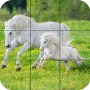 icon Puzzle - Beautiful Horses