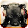 icon Dog Sounds