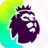icon PL v2.8.2.4919