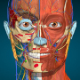 icon Anatomy Learning - 3D Anatomy cho Samsung Galaxy mini 2 S6500