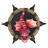 icon DefendR 1.3.4