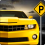 icon Car Parking Simulator