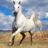 icon Horse Jigsaw Puzzles 2.10.11