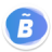 icon Bitsa 2.20.0