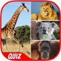 icon Animal Quiz