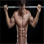 icon Bodybuilding program