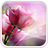 icon Pink Roses Live Wallpaper 3.1