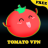 icon Tomato VPN Free: Ultimate Vpn 1.1