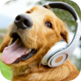 icon com.buzeltpk.ringtone.alarm.sound.dogsounds