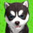 icon Talking puppies virtual pet 0.4.1